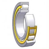 SINGLE ROW- Cylindrical roller bearings